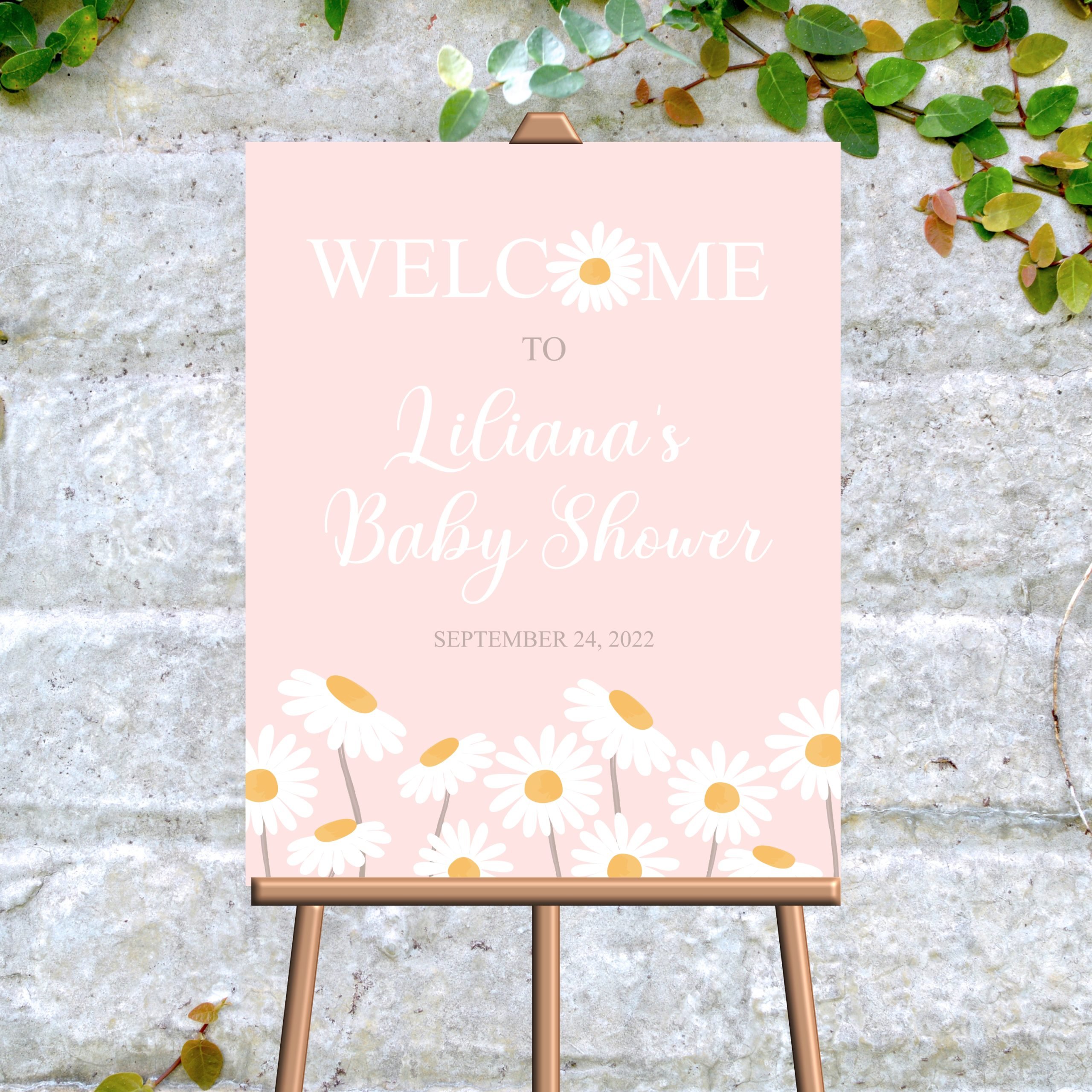 Editable Daisy Welcome Sign, Daisy Boho Theme, Baby Shower Decor, Pink  background
